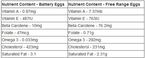 The nutritional comparison showing eggs raised commerically in chicken farms versus those raised in backyards or as free-range chickens.